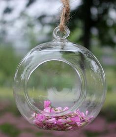 Clear Glass Globes With Flower Hanging Glass Vase