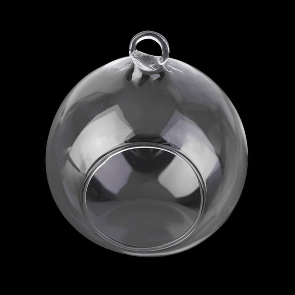 Hanging Glass Flower Vase