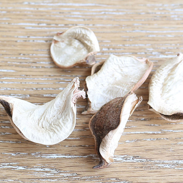Terrarium Glass Flower Vase