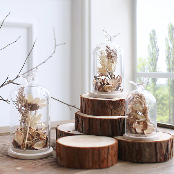 Terrarium Glass Flower Vase