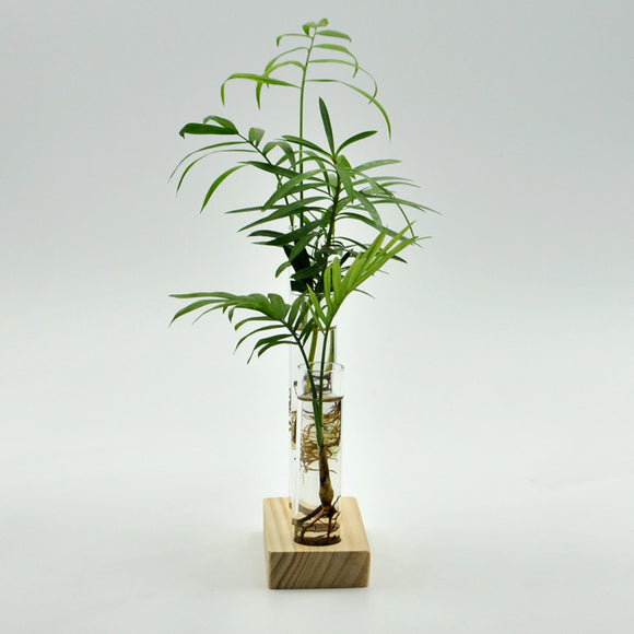 Cylinder Clear Glass Flower Vase