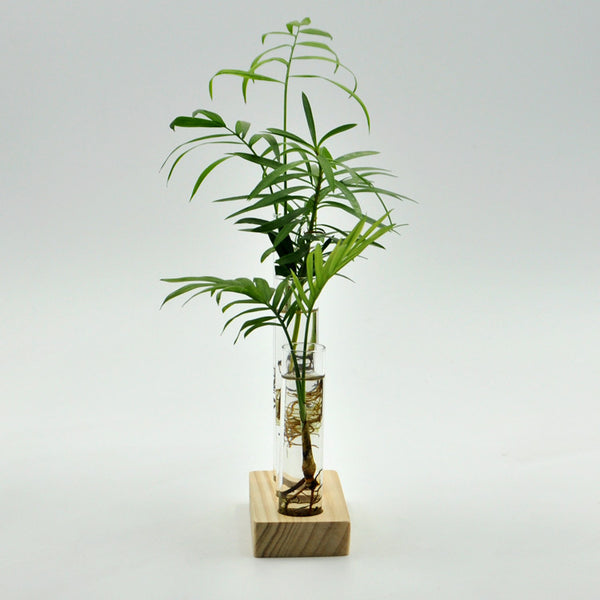 Cylinder Clear Glass Flower Vase