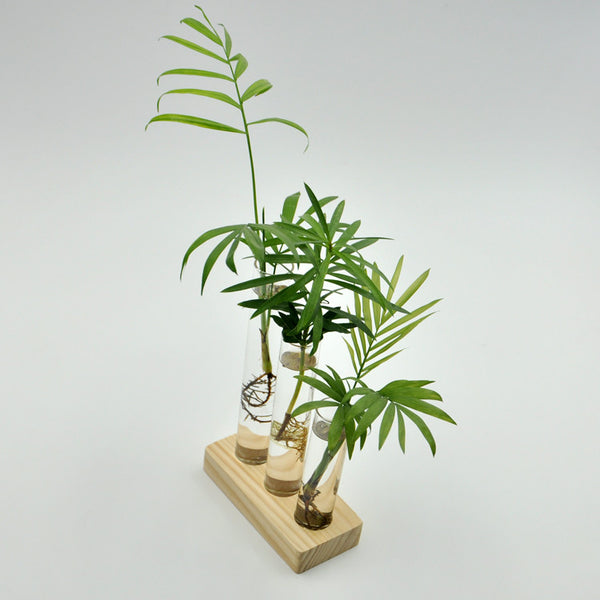 Cylinder Clear Glass Flower Vase