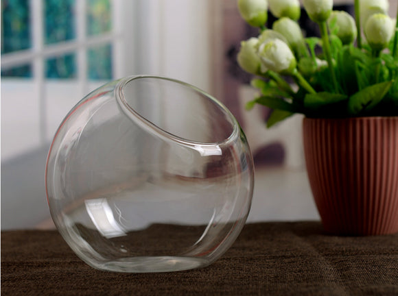 Transparent Glass Vase