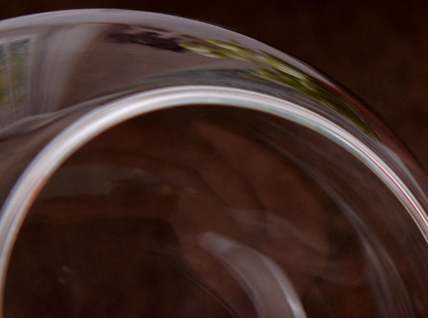 Transparent Glass Vase