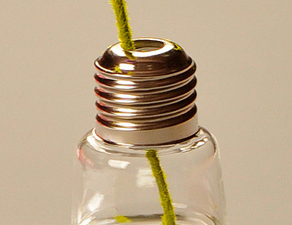 Glass Vase Bulb Shape