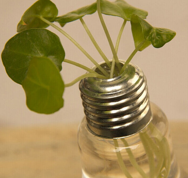 Glass Vase Bulb Shape