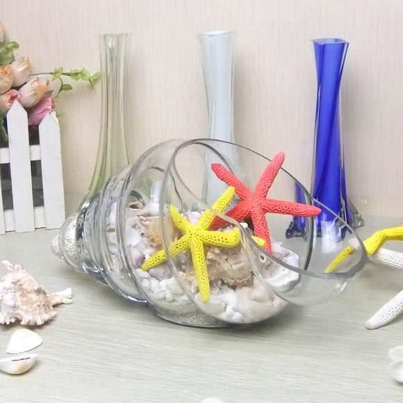 Home Decor Conch Table Glass Vase