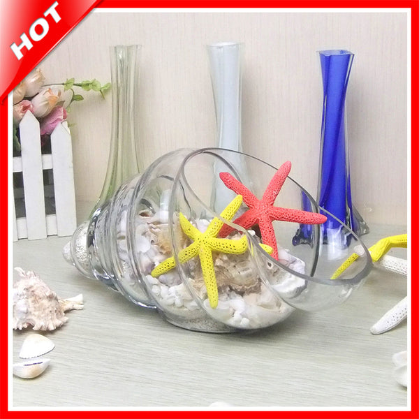Home Decor Conch Table Glass Vase