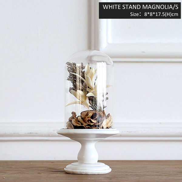 Terrarium Glass Flower Vase